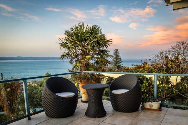 157 Thompson Road Bluff Hill_4