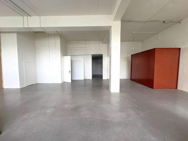 6 Kirk Street Grey Lynn_4