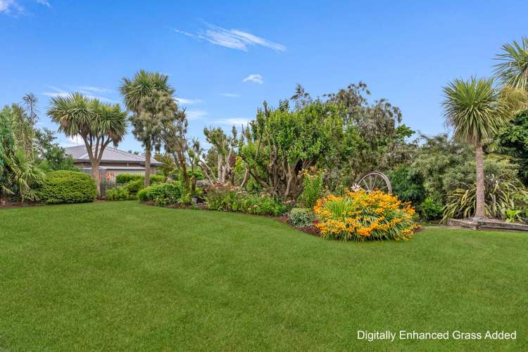 52 Grove Street Tinwald_25