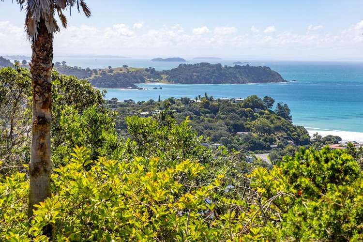 100 Trig Hill Road Onetangi_8