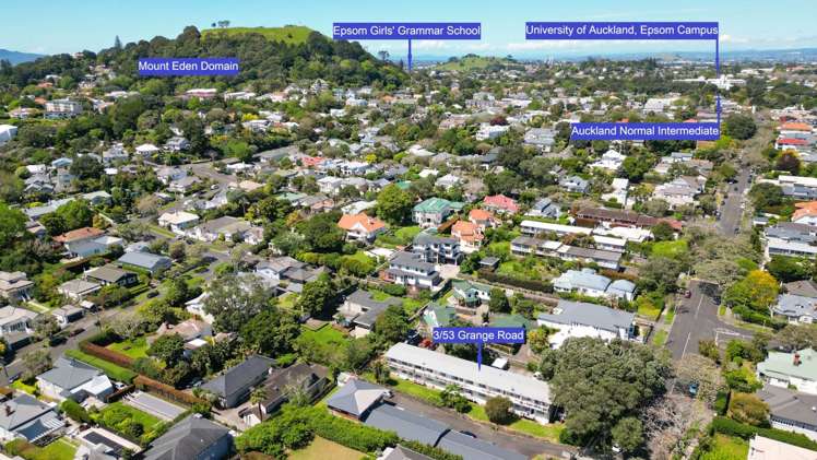 3/53 Grange Road Mount Eden_8