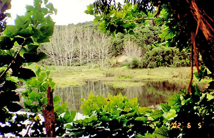 12 Beckham Road Kaitaia_4