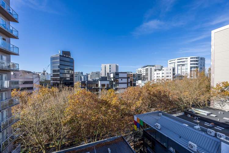 Apartment 8C/113 Vincent Street_2