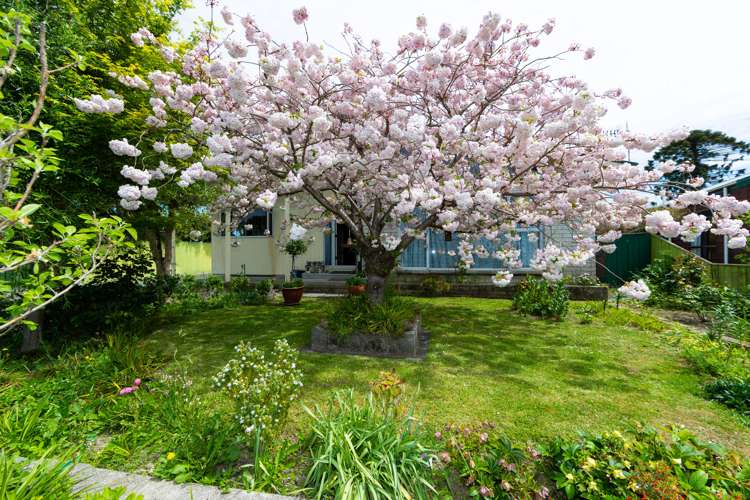 14 Sutton Avenue Clive_19