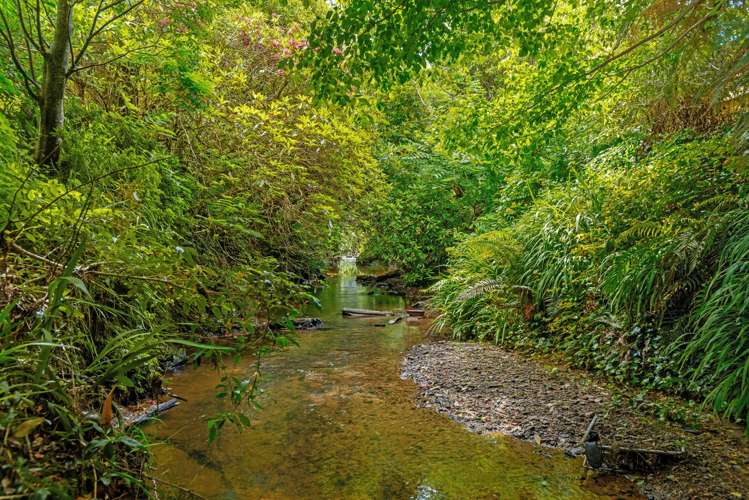 9 and 11 Motu Road Matawai_30