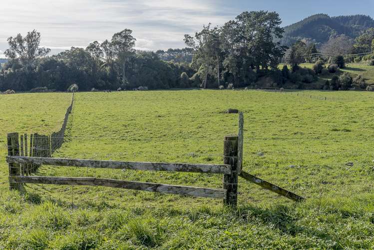 252 Wallace Road Koputaroa_25