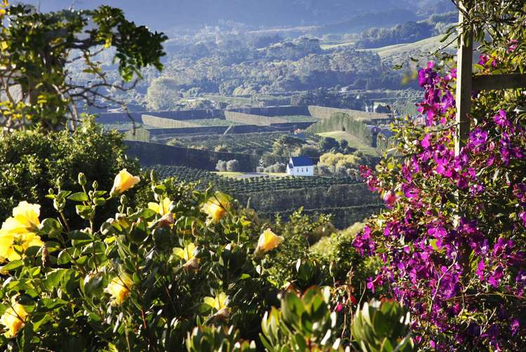 271 Takatu Road Tawharanui Peninsula_17