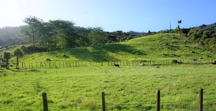 23 Wadham Road Ngaruawahia_2