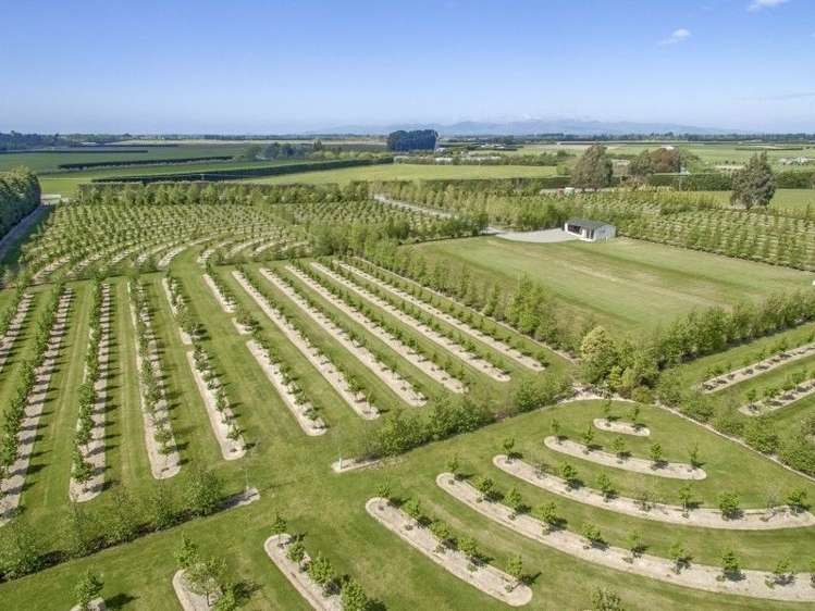 293 Lawford Road West Melton_11