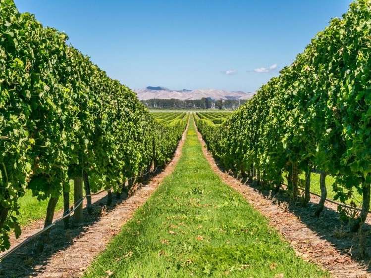 75 Pembers Road Tuamarina_7