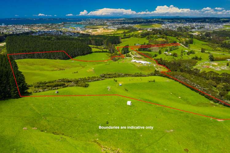 53b Russell Road Wainui_49