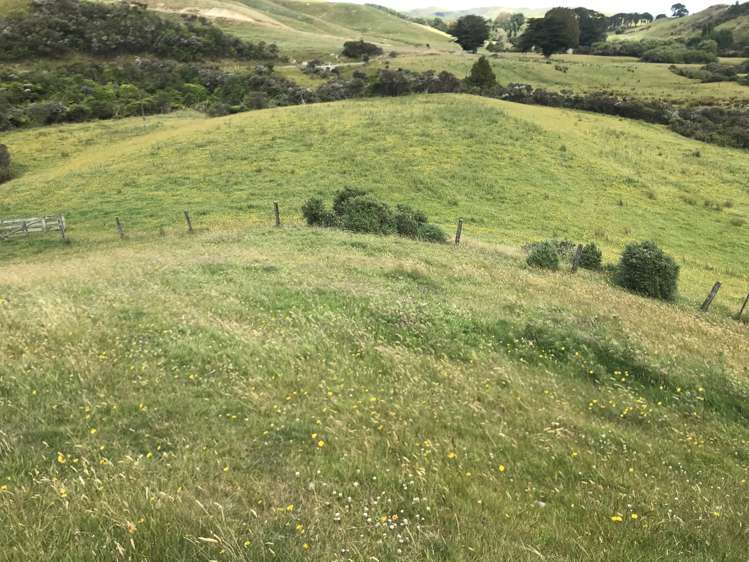 Bowen Road Eketahuna_12