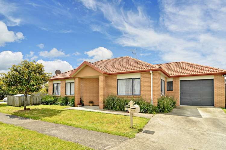 19 Mandival Avenue Flat Bush_0