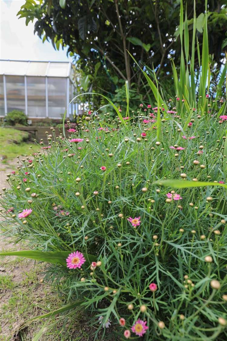 6 Hakarimata Road Ngaruawahia_56