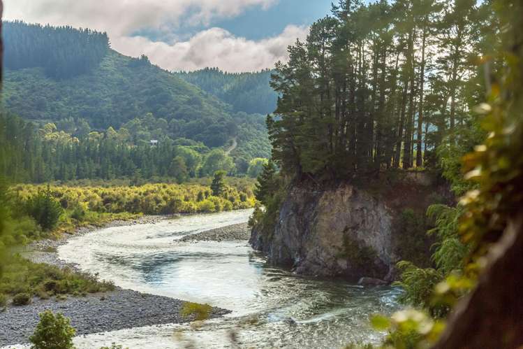 Lot 2 & 3/261 Waiohine Valley Road_5