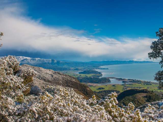 345 Bird Road Kahurangi National Park_4