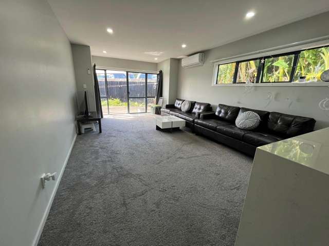 202M Massey Road Mangere East_1