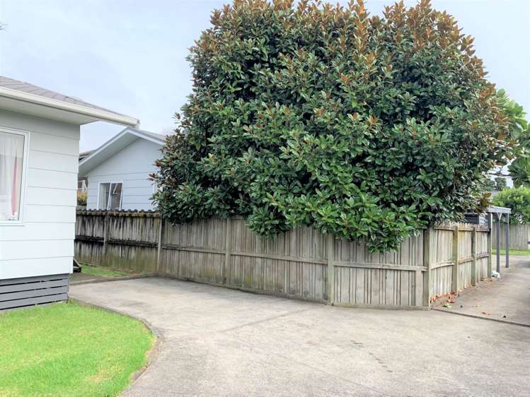 3/16 Laud Avenue Ellerslie_19