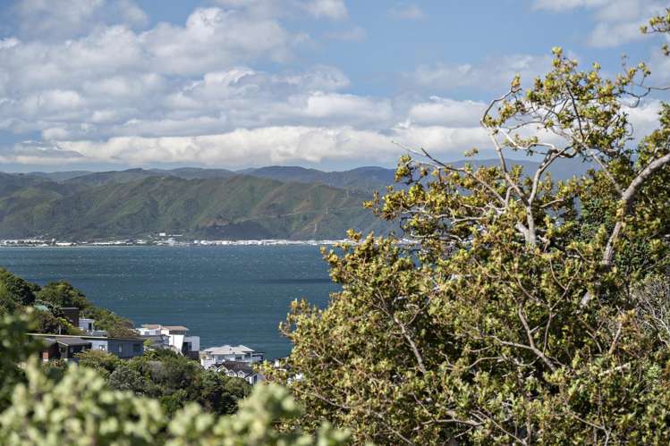 214 Barnard Street Wadestown_7