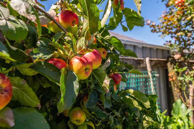 27 Read Street Levin_9