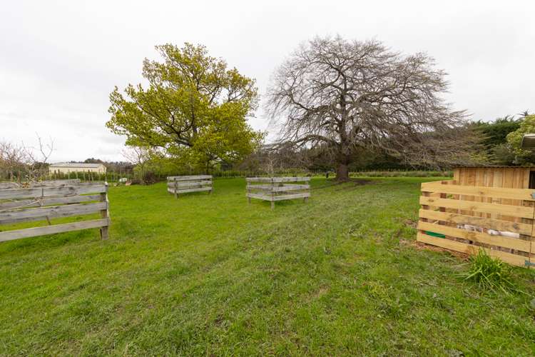 76 Watershed Road Bunnythorpe_24