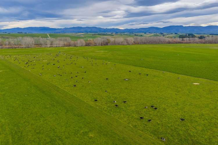 238 and 119 Pooke Road and Timaru Pareora Highway Pareora_7