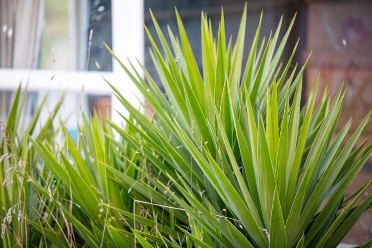 147 Renown Road Waikokowai_54