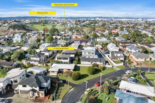 12 Mcdonald Road Papatoetoe_3