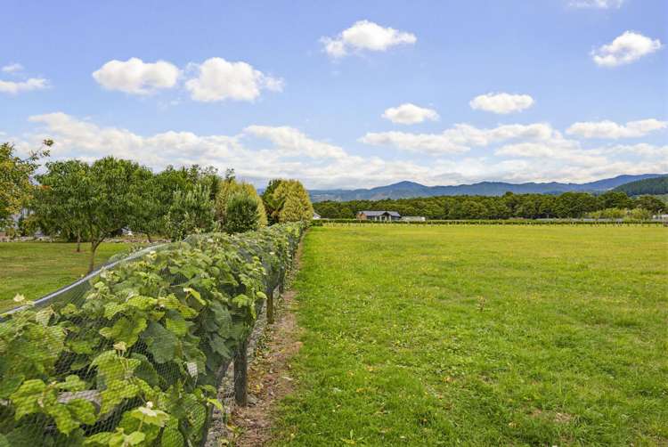 27 Saint Laurent Way Ohau_6