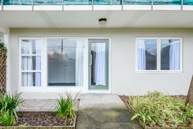 2/25 Britannia Street Petone_1