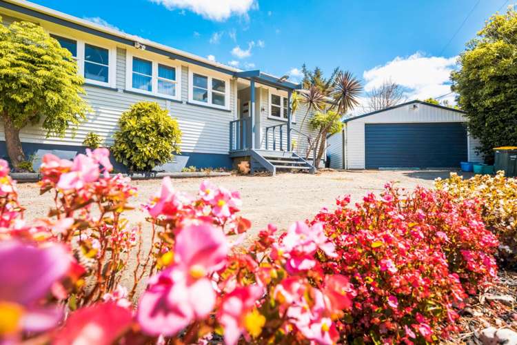 290 Shanks Road Helensville_22