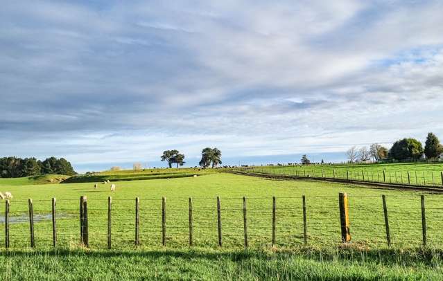 159 Koputaroa Road Levin_1