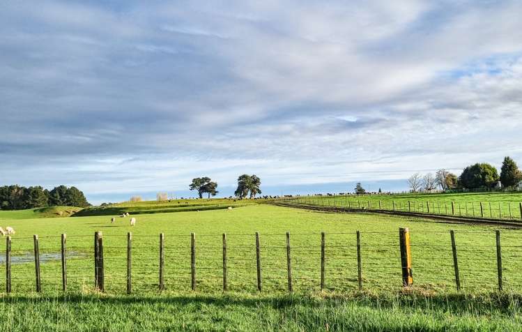 159 Koputaroa Road Levin_1