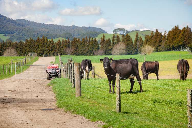 216a Rapurapu Road Te Poi_11