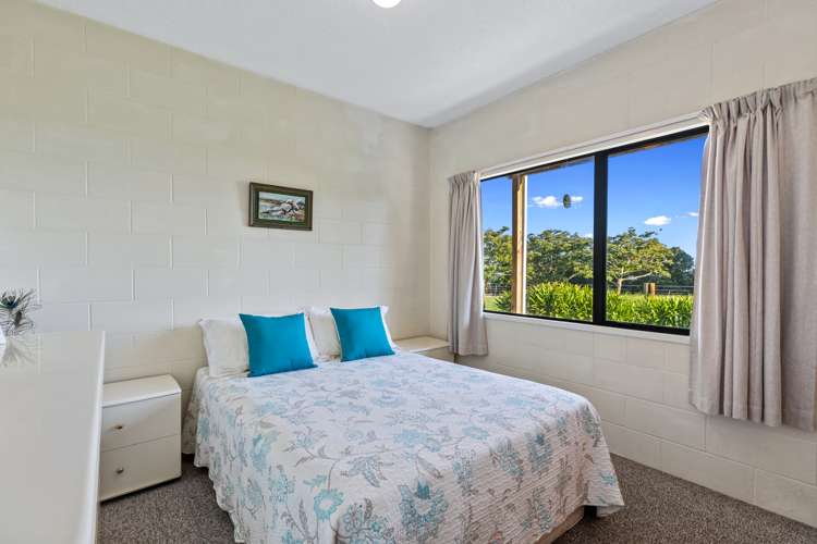 342 Youngson Road Whakamarama_8