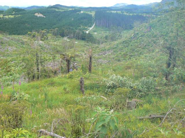 Lot 65 Stoney Creek Road Mangamuka_3