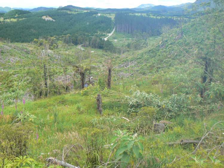 Lot 65 Stoney Creek Road Mangamuka_3