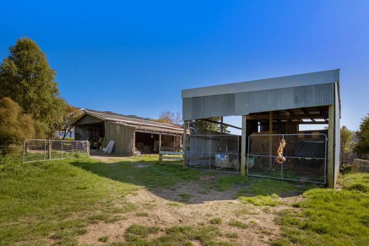 1505 Peggioh Road Ward_15