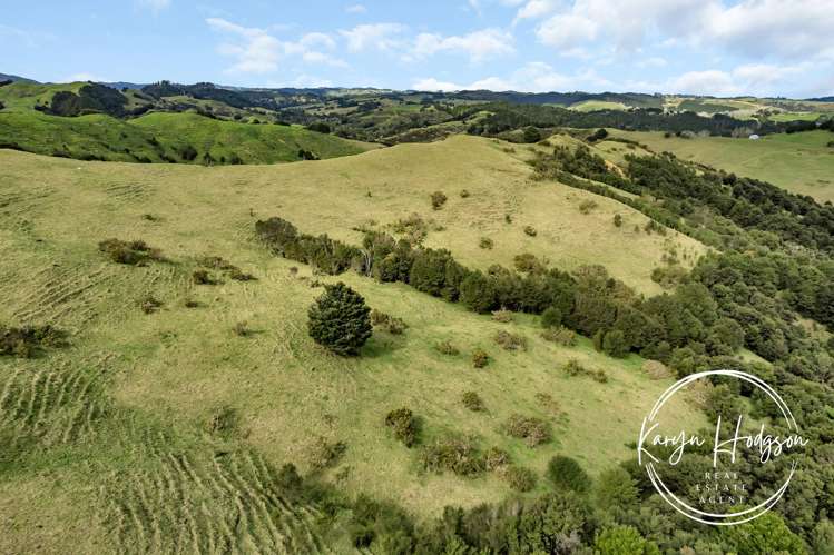 897 Bull Road Paparoa_14