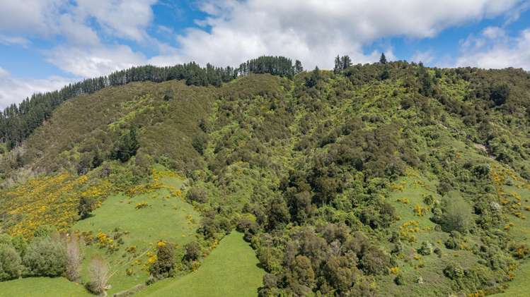 98 Thorpe-Orinoco Road Ngatimoti_20