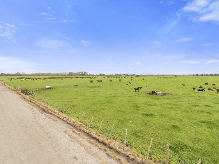 26 Schollum Road Eureka_7