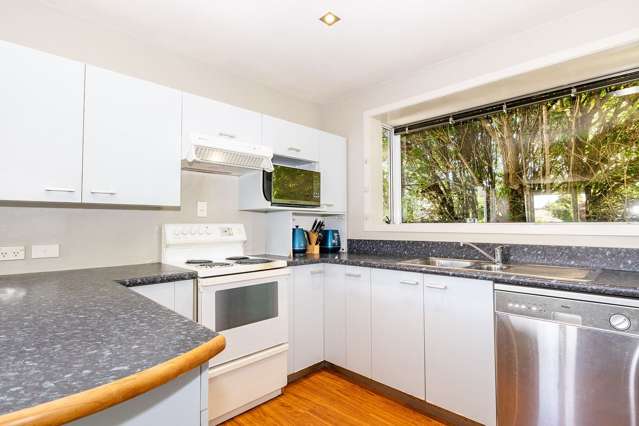 48 Hare Street Ilam_4