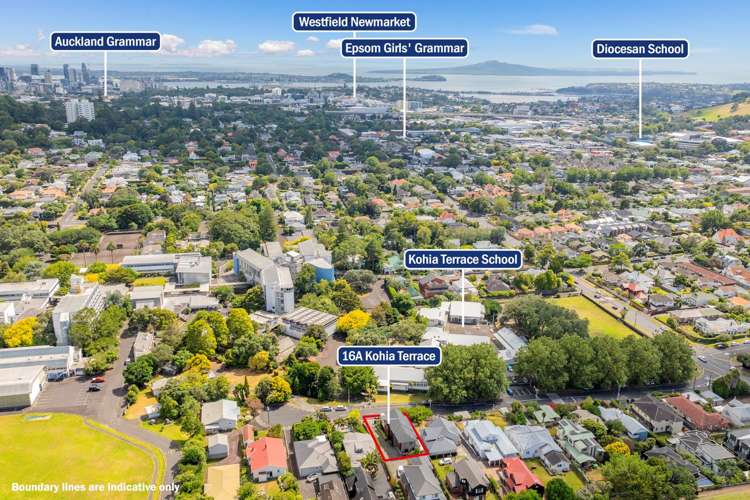 16a Kohia Terrace Epsom_33