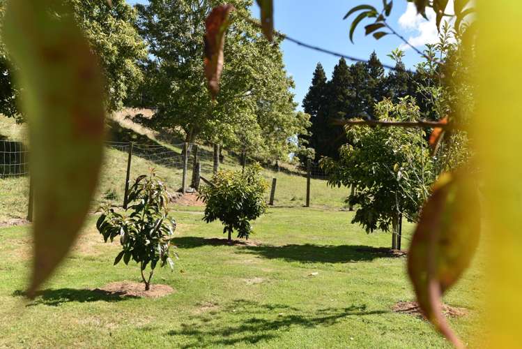 255 Jackson Road Hamurana_11