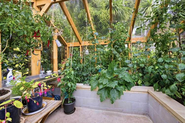 178 Major Hornbrook Road Mount Pleasant_28