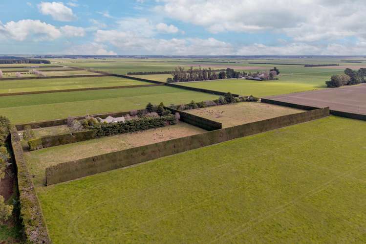 371 Old South Road Dunsandel_19