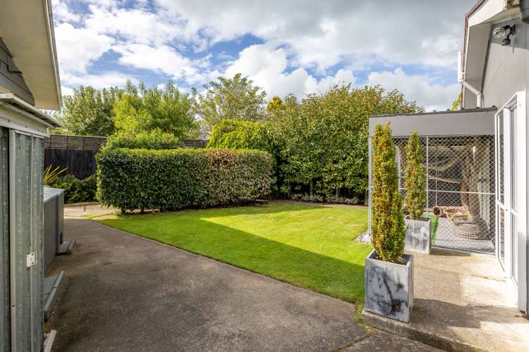 5 Cowper Place Avondale_20