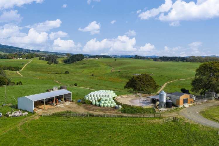 18 Hodgson Road Te Pahu_15