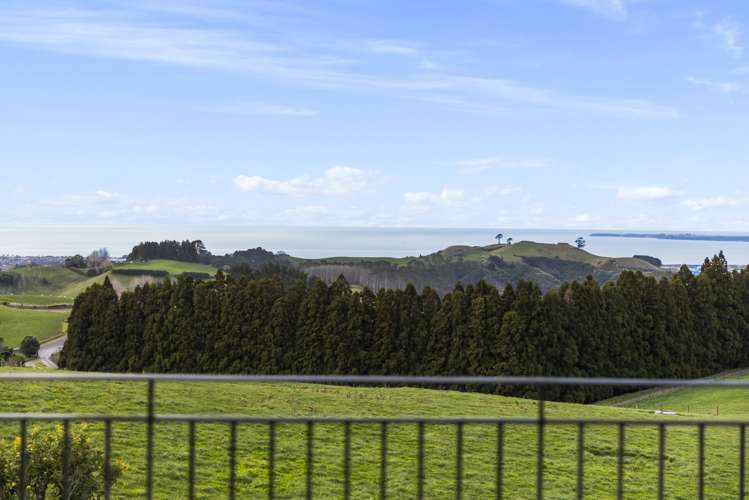 11 Chestnut Lane Papamoa_44