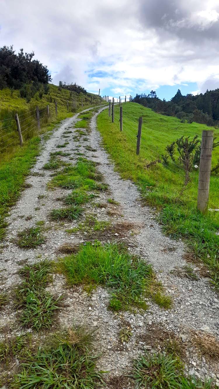 Lots 1 & 2 Paranui-Toatoa Road Taipa_12